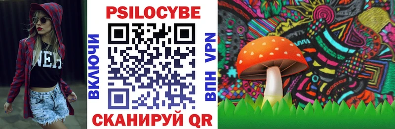 omg сайт  Томилино  Галлюциногенные грибы Magic Shrooms 