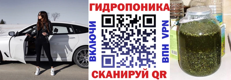 МАРИХУАНА ГИДРОПОН продажа наркотиков Томилино